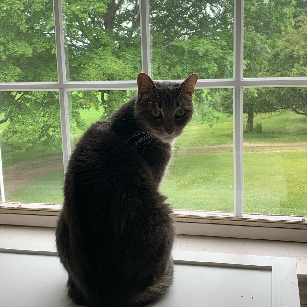 Meet your Posher, Eva